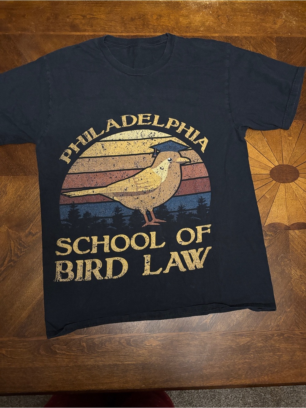 Philadelphia School of Bird Law Graphic Tee - Black